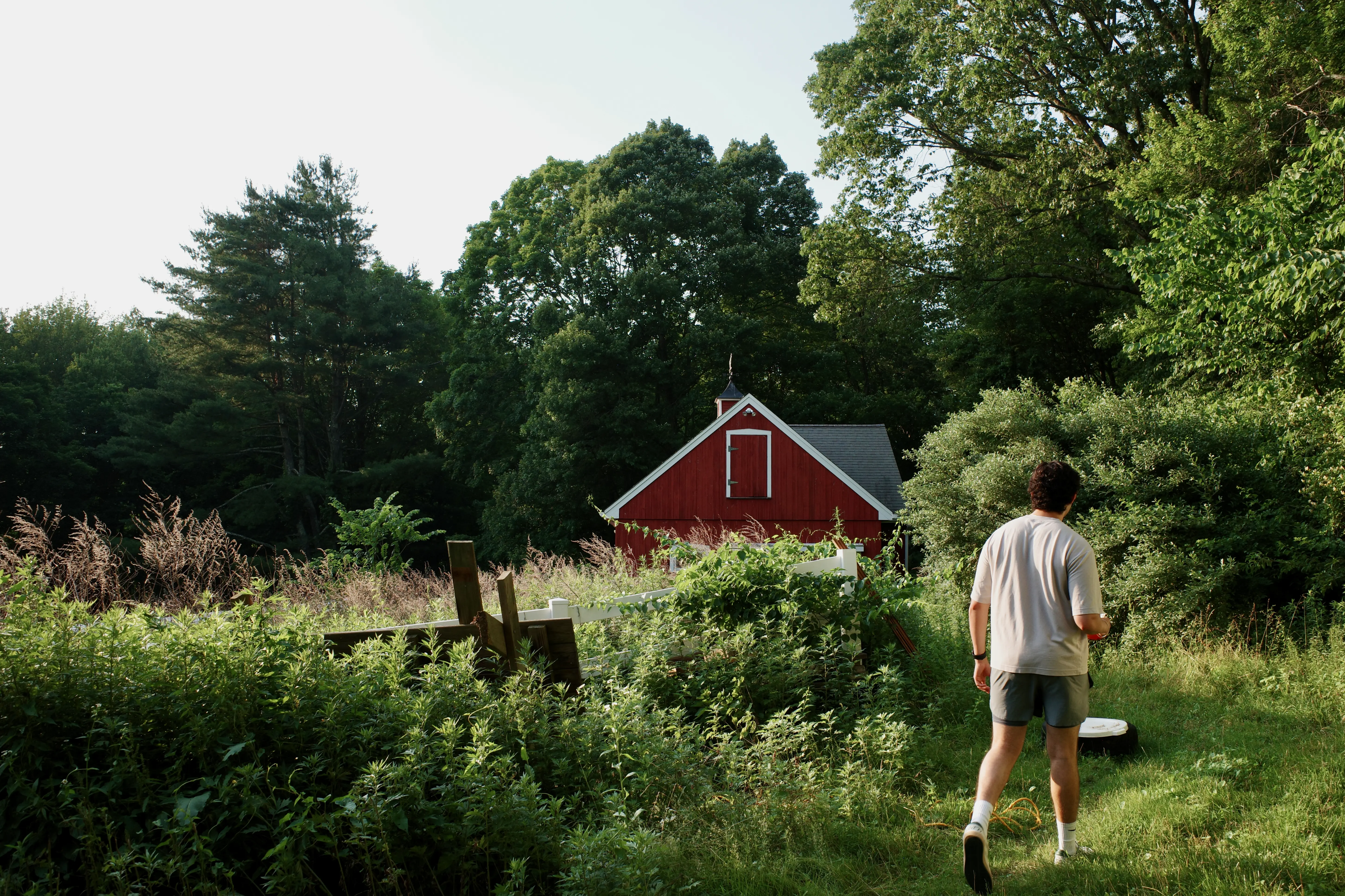 Photo from new haven